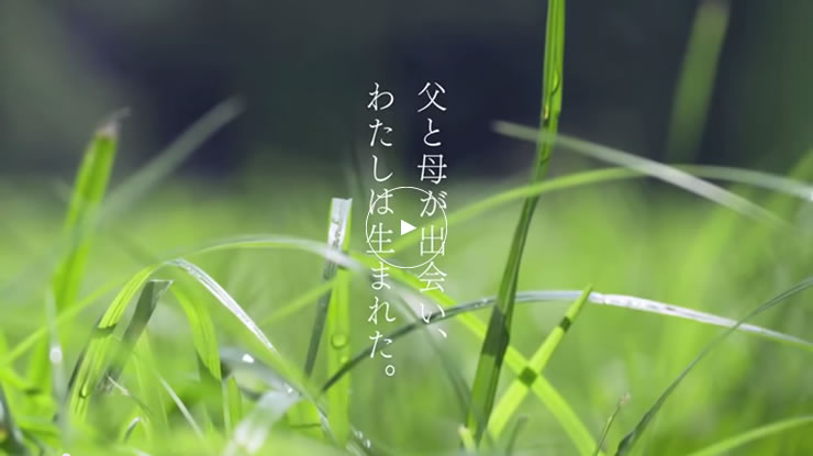 は に 呼称 とも の 本 卦 呼ばれる 61 が 数え年 えり 歳 な