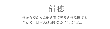 稲穂 （いなほ）