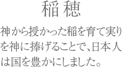 稲穂 （いなほ）