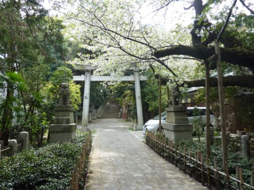 赤坂氷川神社