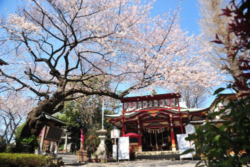 居木神社